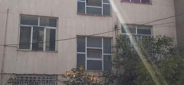 عکس زمین جنگلی