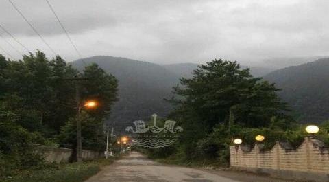 عکس زمین جنگلی