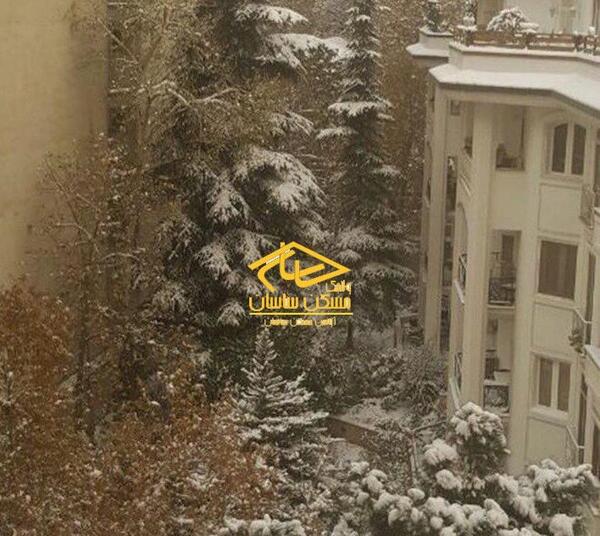 عکس زمین جنگلی