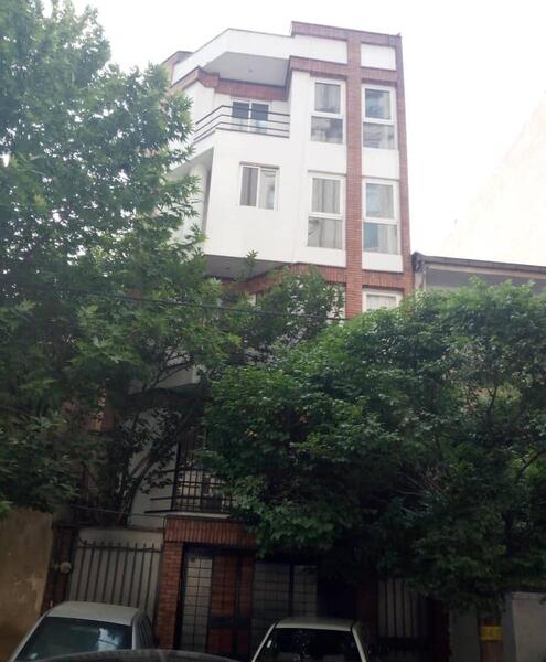 عکس زمین جنگلی