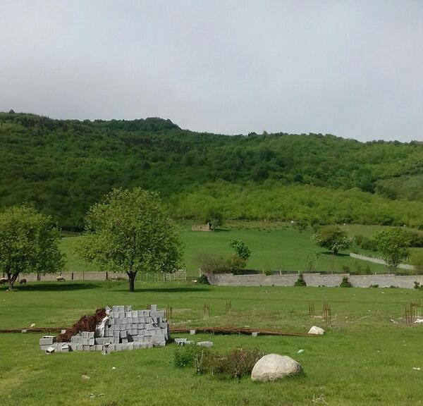 عکس زمین جنگلی