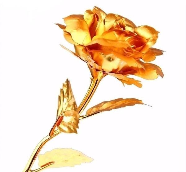 عکس شاخه گل رز طلا