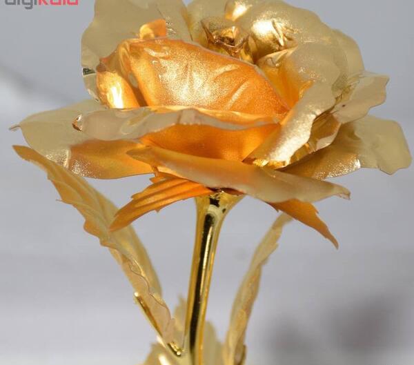 عکس شاخه گل رز طلا