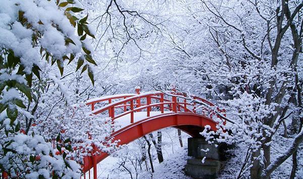 عکس پروفایل زیبا زمستان