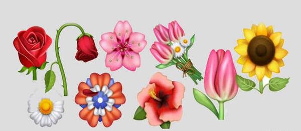 عکس گل رز قرمز شکسته