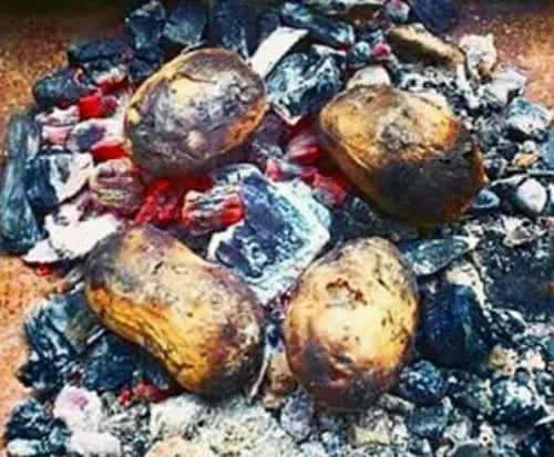 عکس سیب زمینی ذغالی