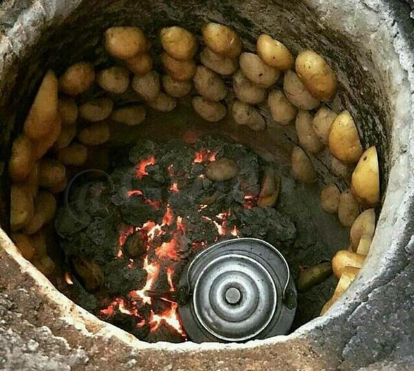 عکس سیب زمینی ذغالی