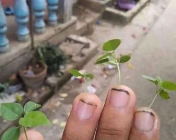 عکس کاشت ناخن خنده دار
