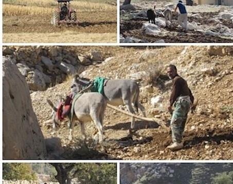عکس زمین شخم زده