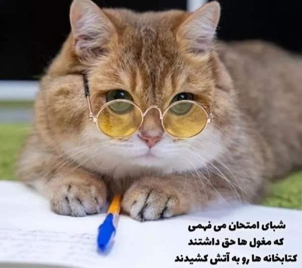 عکس فان ولنتاین