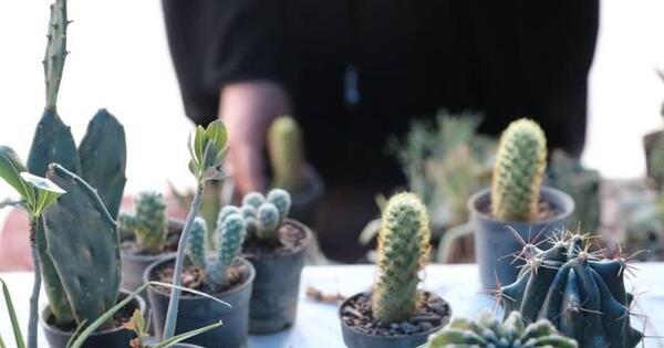 عکس نمایشگاه فرهنگی