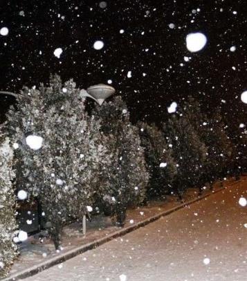عکس بارش و برف