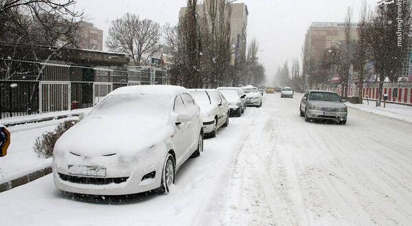 عکس بارش شدید برف در اردبیل