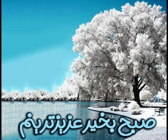 عکس برفی صبح بخیر