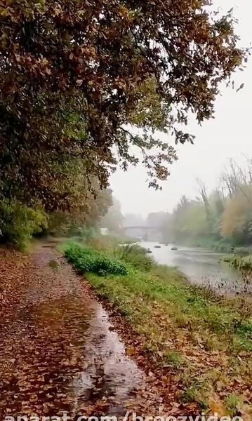 عکس بارش باران در طبیعت