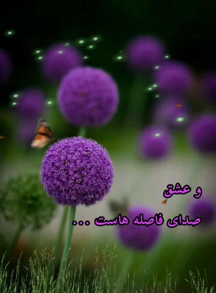 عکس بارش برف متحرک
