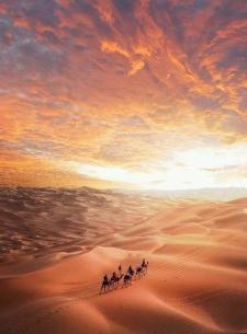 عکس زمینه بارش برف