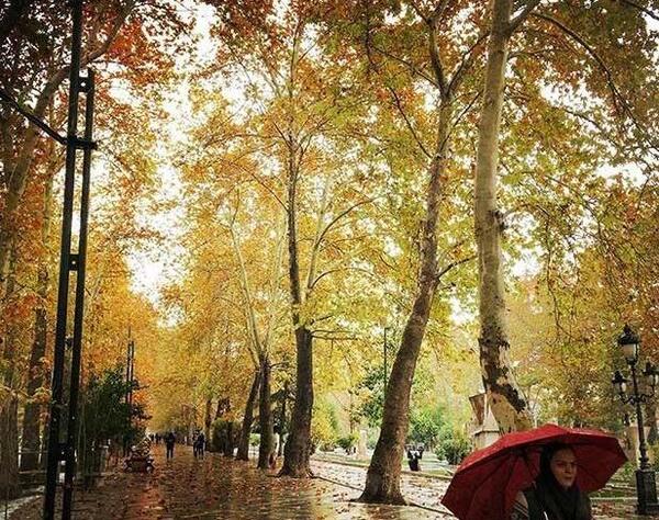 عکس بارش برف و باران