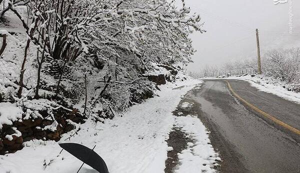 عکس برف در کوه