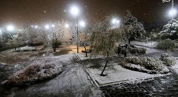 عکس بارش برف از پشت پنجره