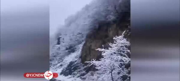 عکس بارش برف از پشت پنجره