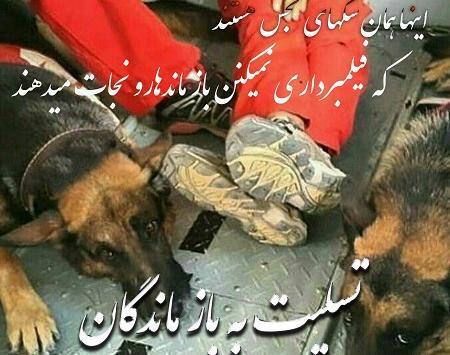 عکس پروف آتش