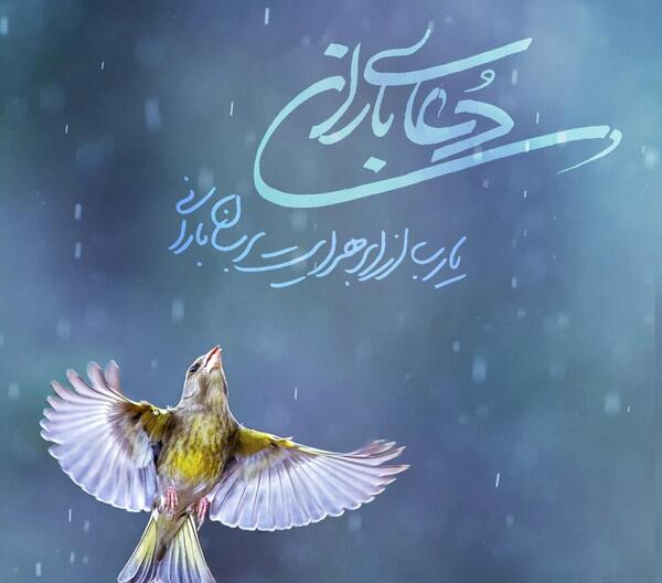 عکس زیبا بارش باران