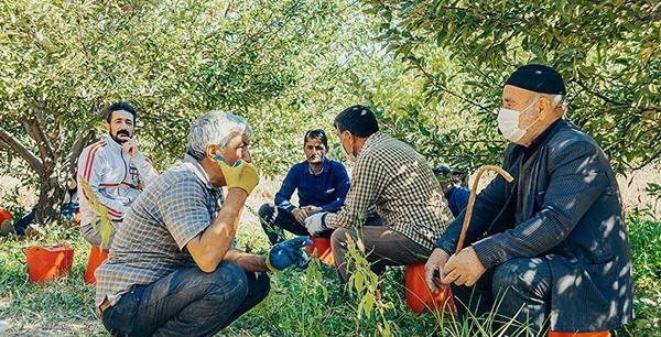 عکس شیطان تهران