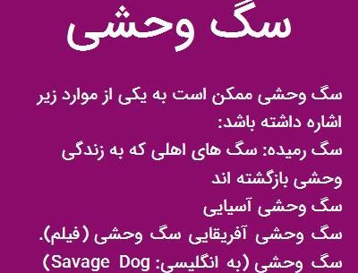 عکس سگ وحشی فیلم