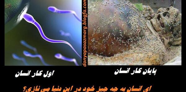 عکس بهشت قیامت
