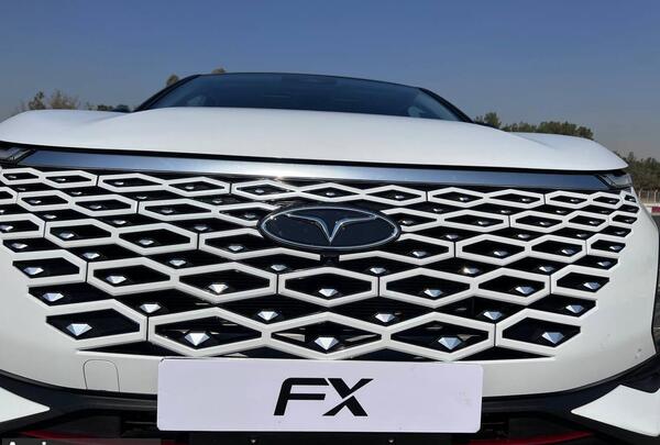 عکس فونیکس fx