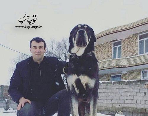 عکس سگ وحشی و خطرناک