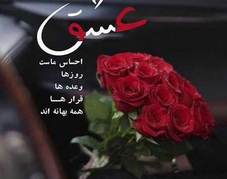 عکس عاشقانه خاص گل