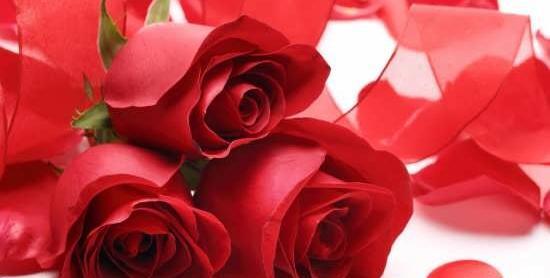 عکس عاشقانه خاص گل