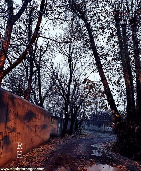 عکسهای طبیعت شهریار