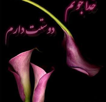 عکس بهشت خنده دار