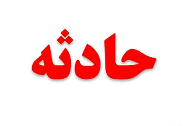 عکس سگ وحشی پسر