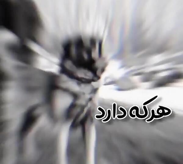 عکس سگ وحشی خفن
