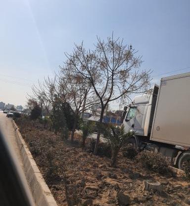 عکس گمرک شهریار