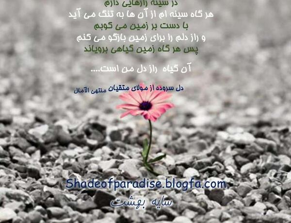 عکس نوشته بهشت زیر پای مادران است
