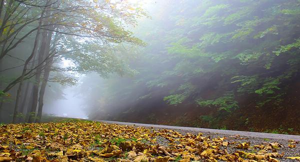 عکس تصاویر بهشت طبیعت