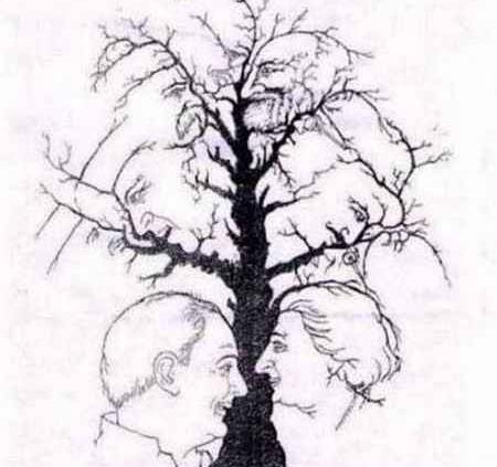 عکس های تست هوش