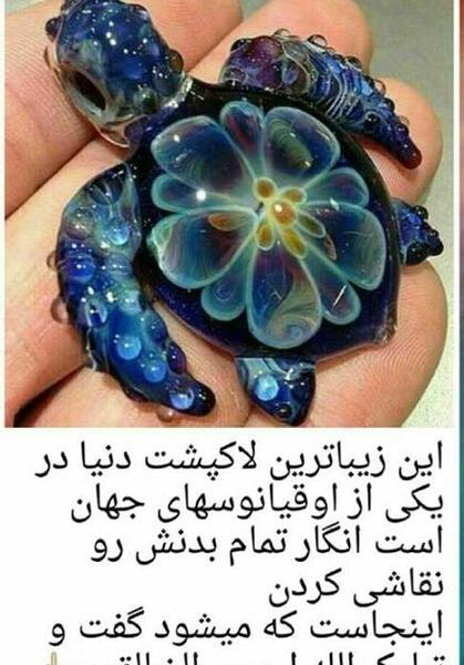 عکس های مورچه از نزدیک