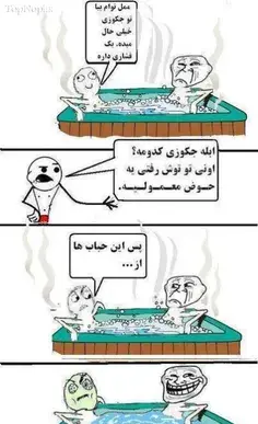 عکس های مورچه از نزدیک