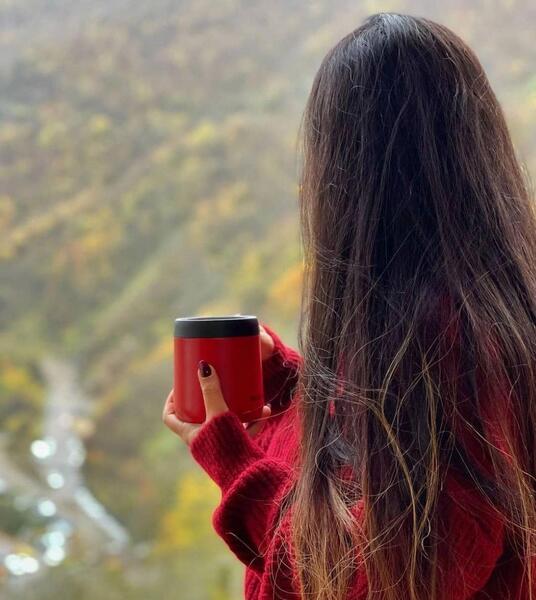 عکس های ویسگون