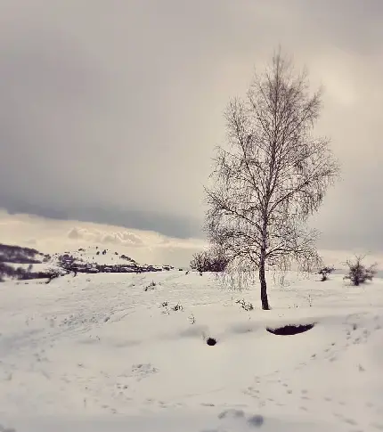 عکس زمستان واقعی