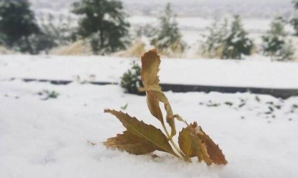 عکس زمستان روستایی