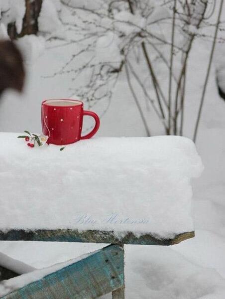 عکس صبح زمستانی بدون متن