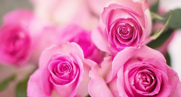 عکس نوشته زیبا روی گل