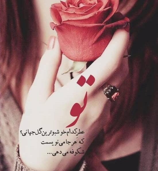 عکس نوشته زیبا روی گل